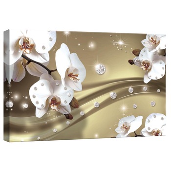 Tablou Canvas DEGRETS 78240 Orhidee Abstractie 6 3D, 40x60cm Tablou Canvas DEGRETS 78240 Orhidee Abstractie 6 3D, 40x60cm
