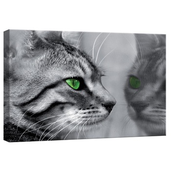 Tablou Canvas DEGRETS 78247 Pisoi 1, 40x60cm Tablou Canvas DEGRETS 78247 Pisoi 1, 40x60cm