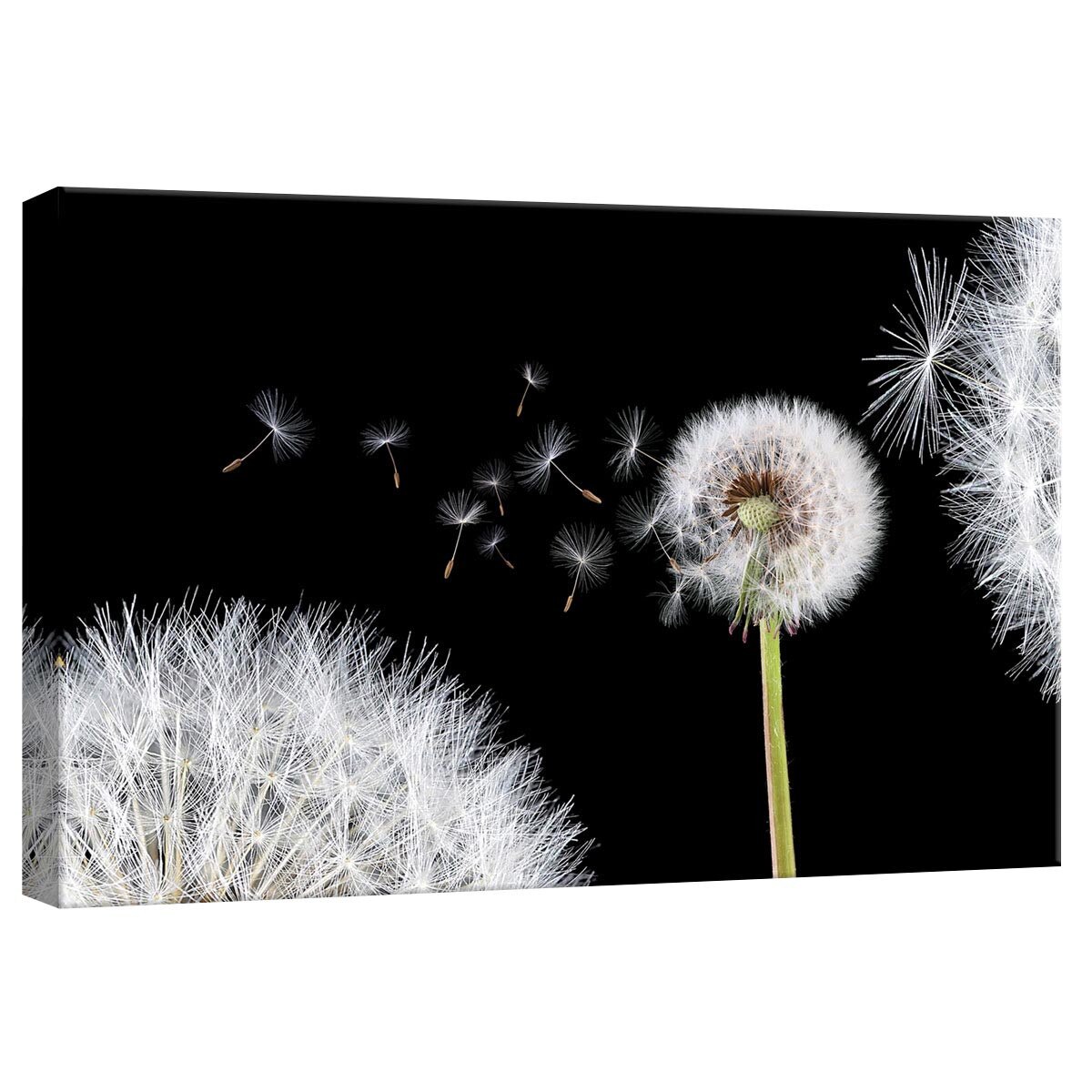 Tablou Canvas DEGRETS 78248 Papadie 1 3D, 40x60cm