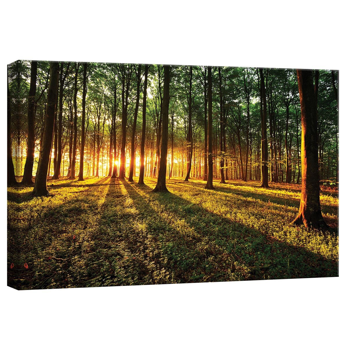 Tablou Canvas DEGRETS 78250 Padure 1, 40x60cm