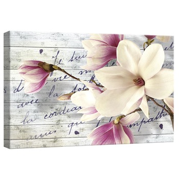 Tablou Canvas DEGRETS 78256 Magnolie Arta, 40x60cm Tablou Canvas DEGRETS 78256 Magnolie Arta, 40x60cm