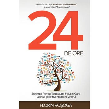 24 de ore - Florin Rosoga 24 de ore - Florin Rosoga