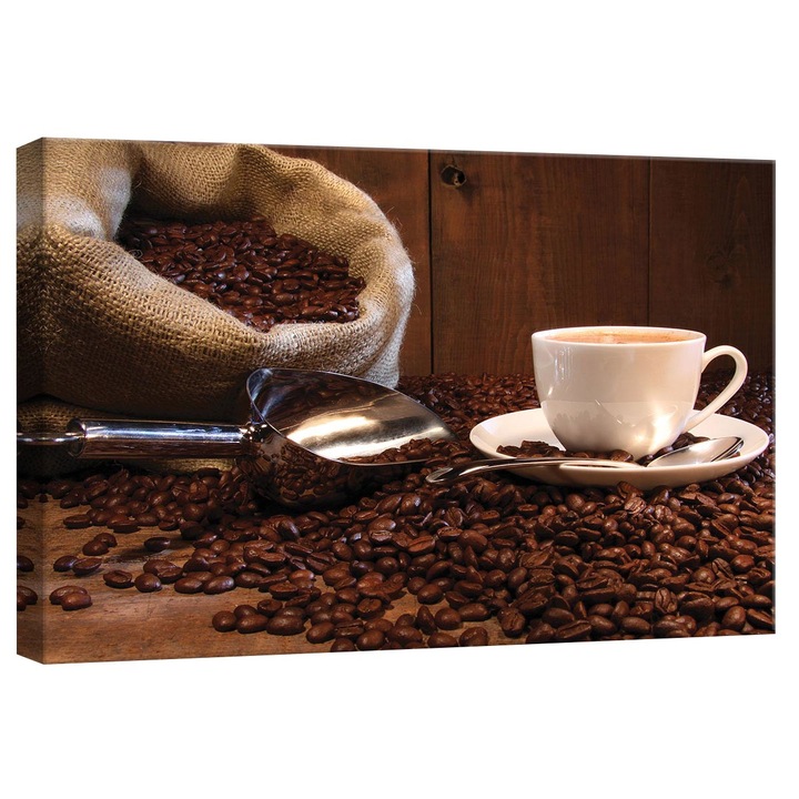 Tablou Canvas DEGRETS 78270 Cafea 1, 40x60cm