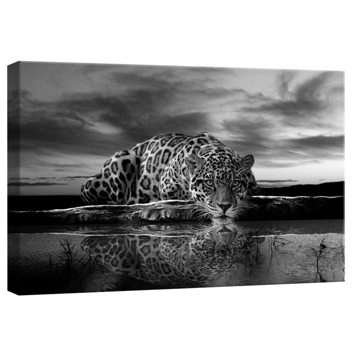 Tablou Canvas DEGRETS 78272 Leopard 1, 40x60cm