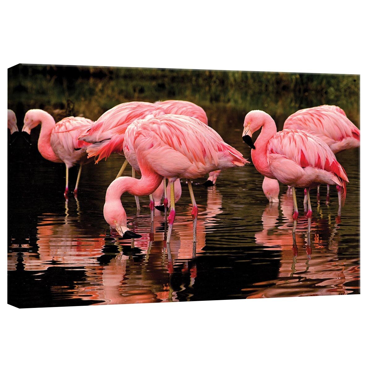 Tablou Canvas DEGRETS 78279 Flamingo 2, 40x60cm