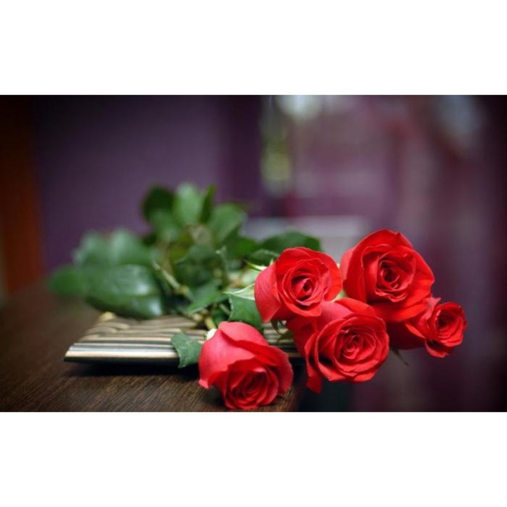 Tablou forex, Roses love, color, 40 x 30 cm