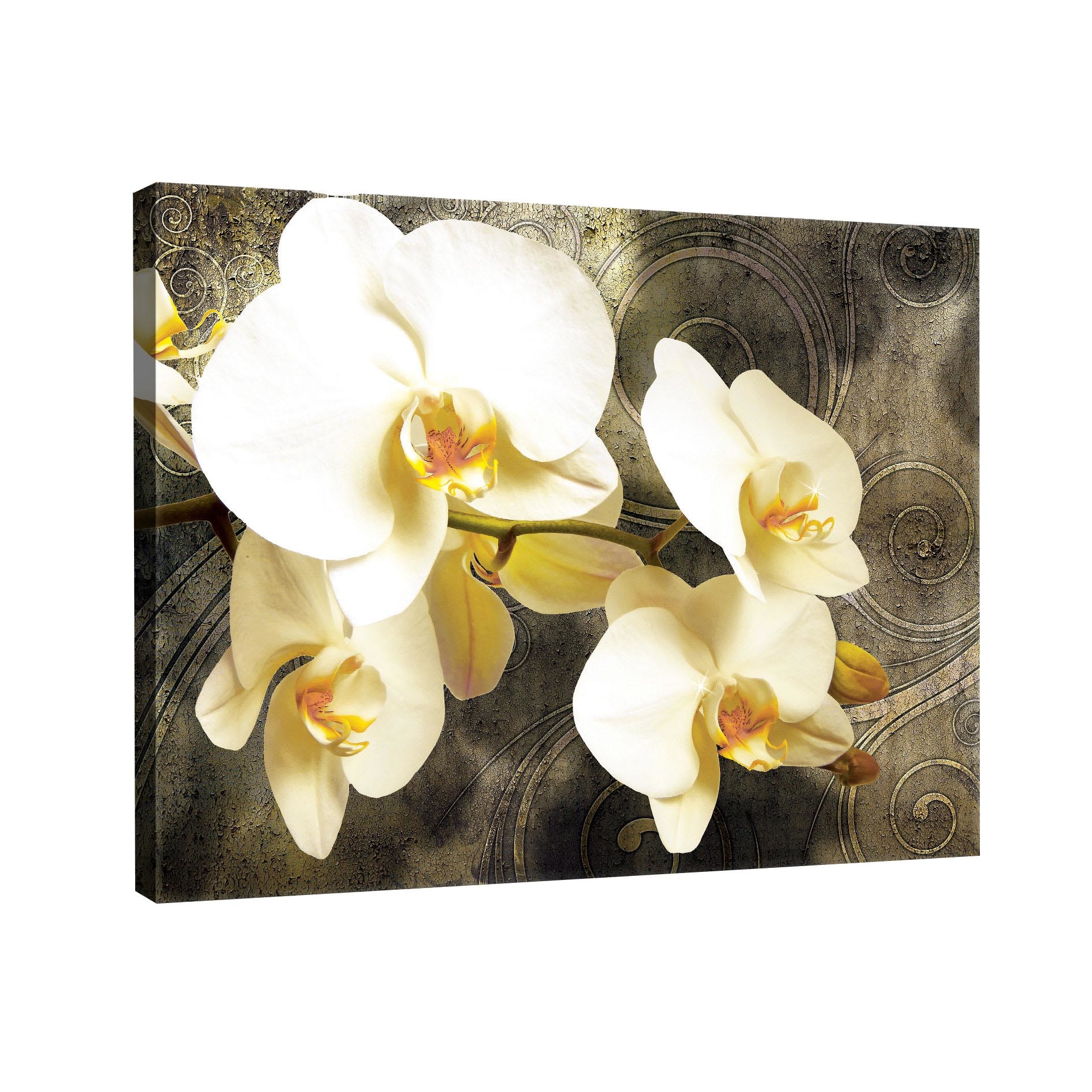 Tablou Canvas DEGRETS 78105 Orhidee 2, 75x100cm