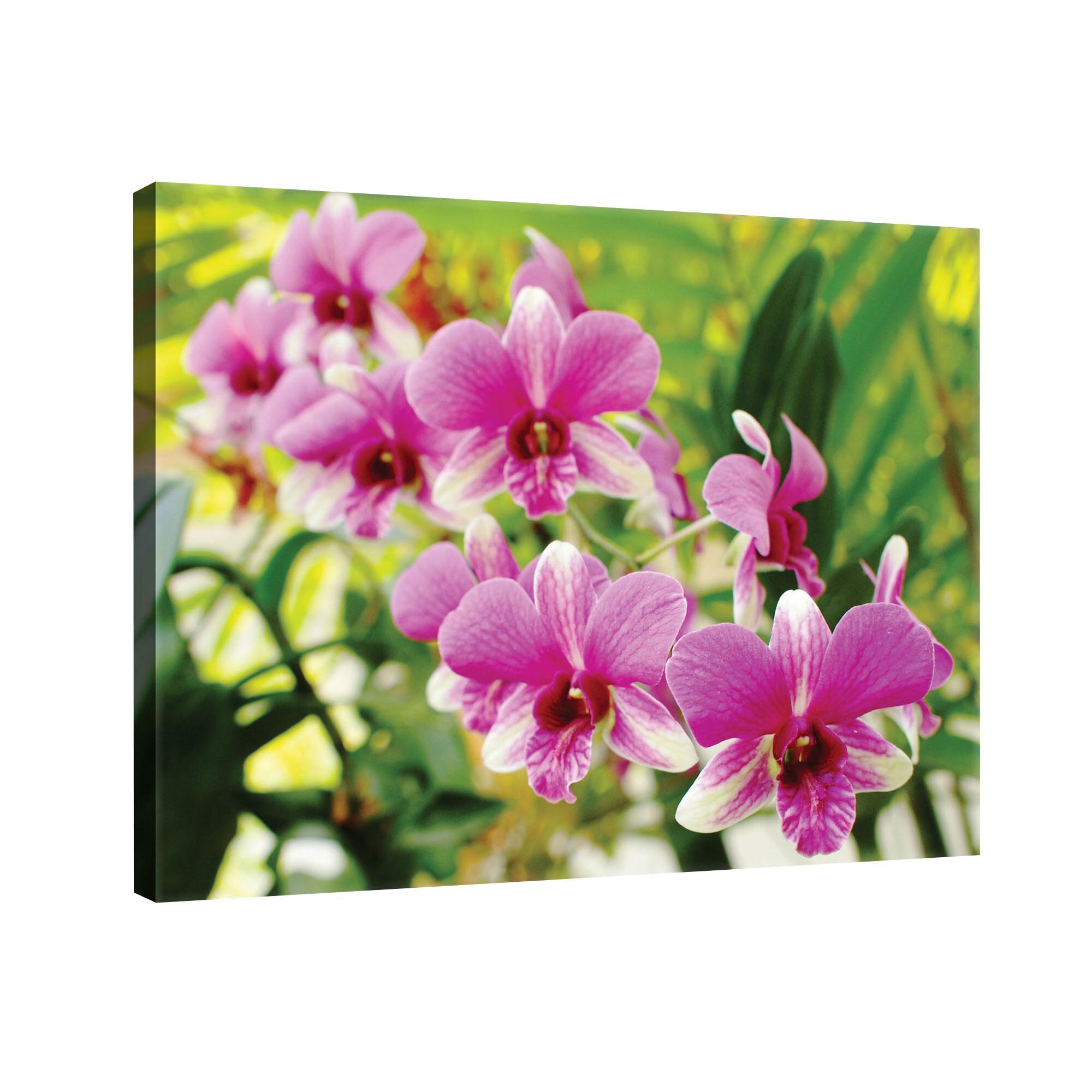 Tablou Canvas DEGRETS 78110 Orhidee 3, 75x100cm