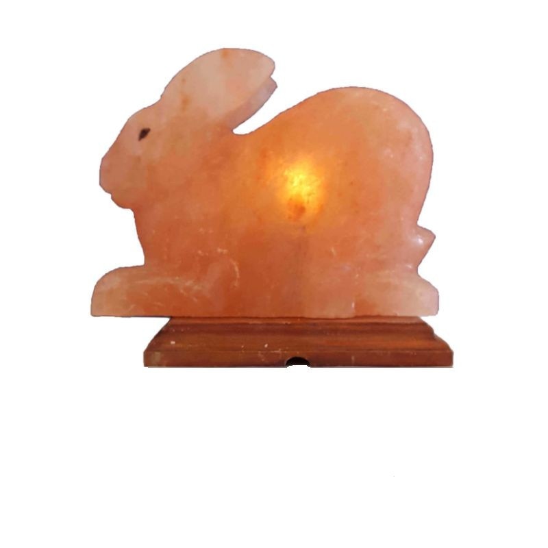 Lampa din cristale de sare Iepuras, ProCart, suport de lemn, alimentare retea