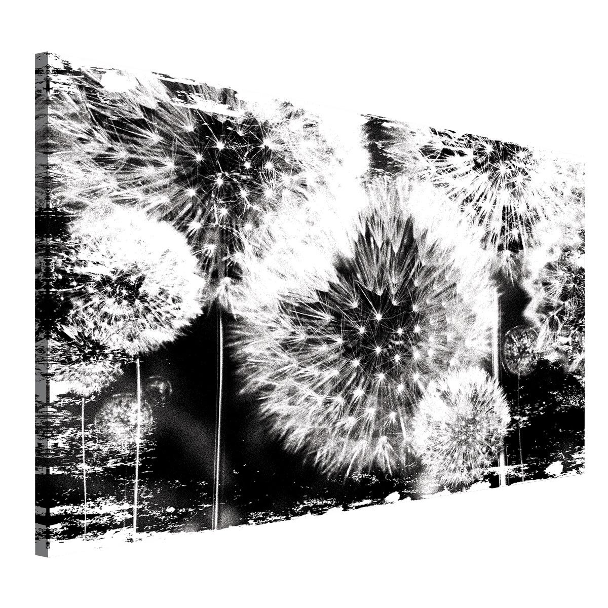 Tablou Canvas DEGRETS 78229 Papadii 2, 40x60cm