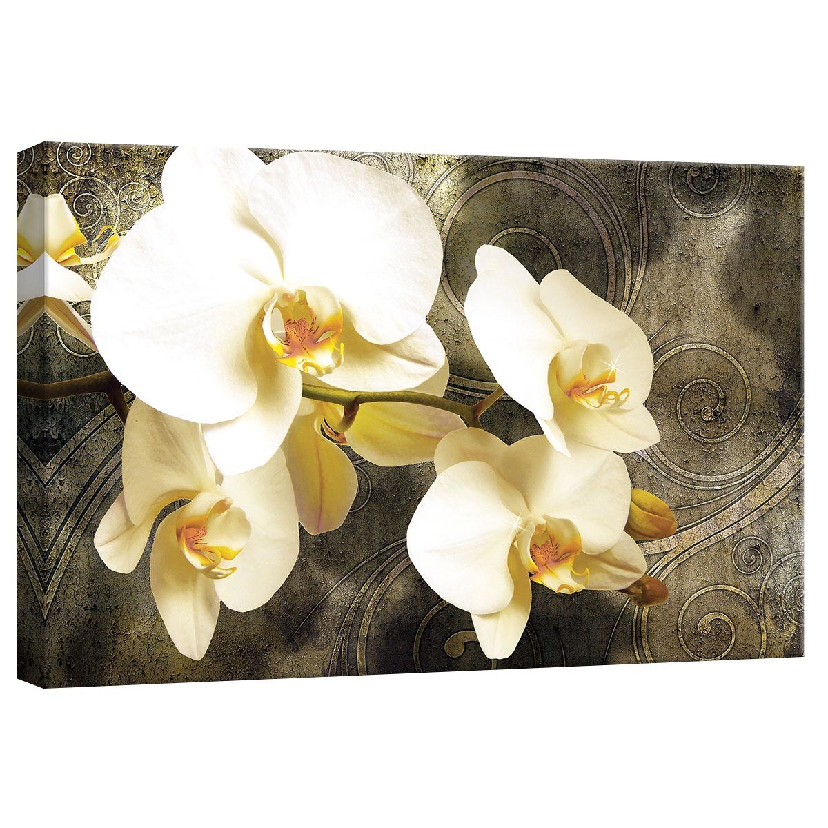 Tablou Canvas DEGRETS 78255 Orhidee 8, 40x60cm