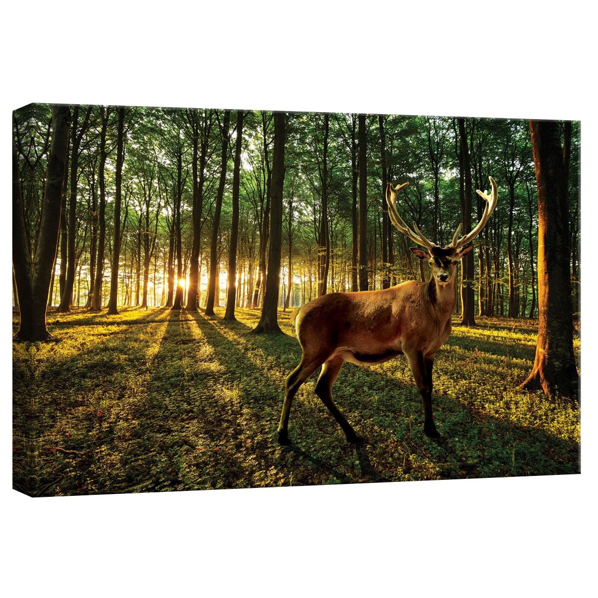 Tablou Canvas DEGRETS 78276 Caprioara in padure, 40x60cm