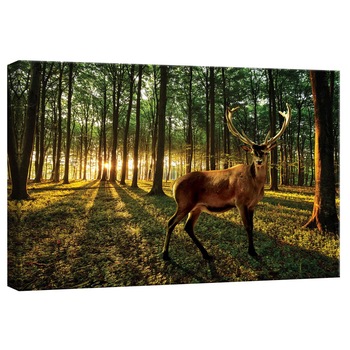 Tablou Canvas DEGRETS 78276 Caprioara in padure, 40x60cm Tablou Canvas DEGRETS 78276 Caprioara in padure, 40x60cm