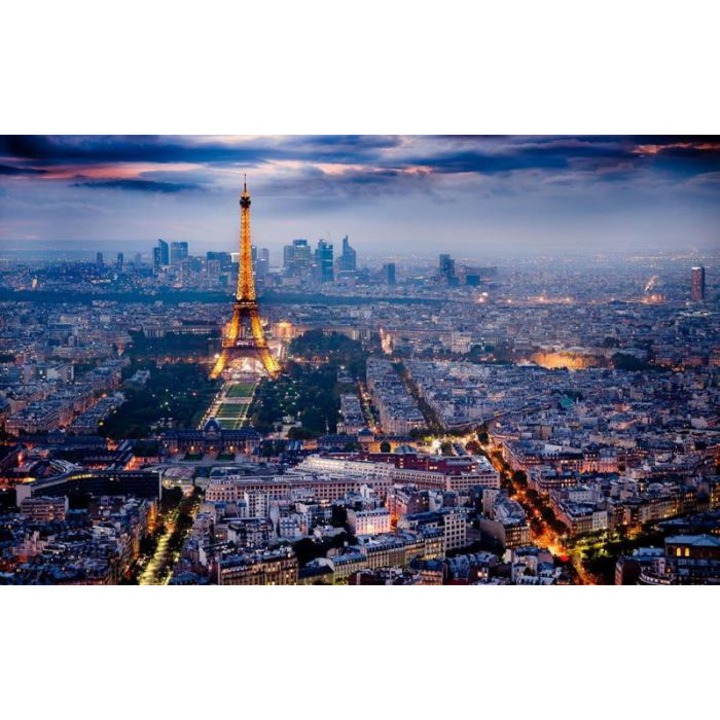 Tablou forex, Panorama Parisului, color, 60 x 40 cm