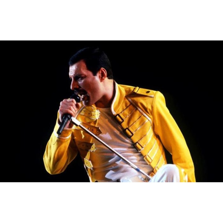 Tablou forex, Freddie Mercury concert, color, 150 x 100 cm