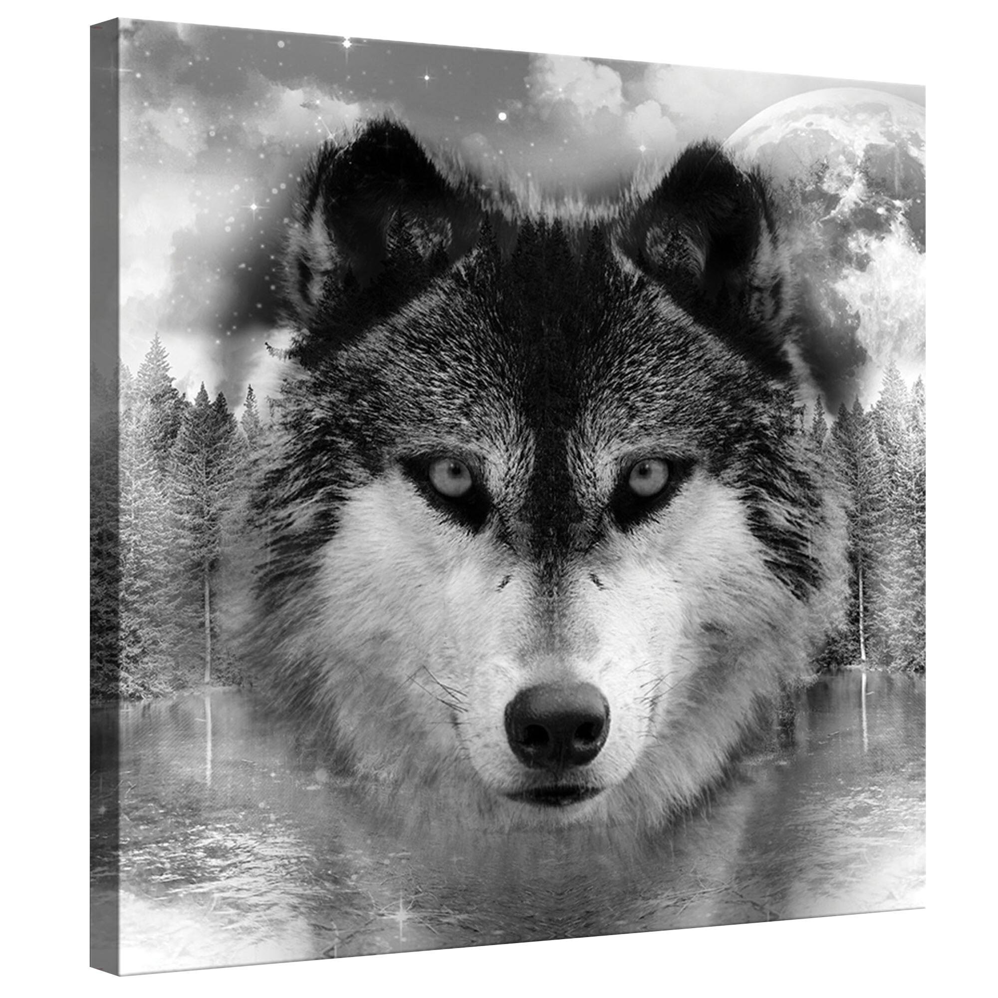 Tablou Canvas DEGRETS 78155 Lup, 80x80cm