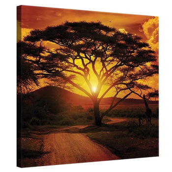 Tablou Canvas DEGRETS 78157 Safari, 80x80cm Tablou Canvas DEGRETS 78157 Safari, 80x80cm