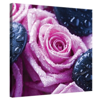 Tablou Canvas DEGRETS 78158 Trandafiri relaxare, 80x80cm Tablou Canvas DEGRETS 78158 Trandafiri relaxare, 80x80cm