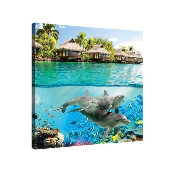 Tablou Canvas DEGRETS 78159 Lumea animalelor 1 3D, 80x80cm Tablou Canvas DEGRETS 78159 Lumea animalelor 1 3D, 80x80cm