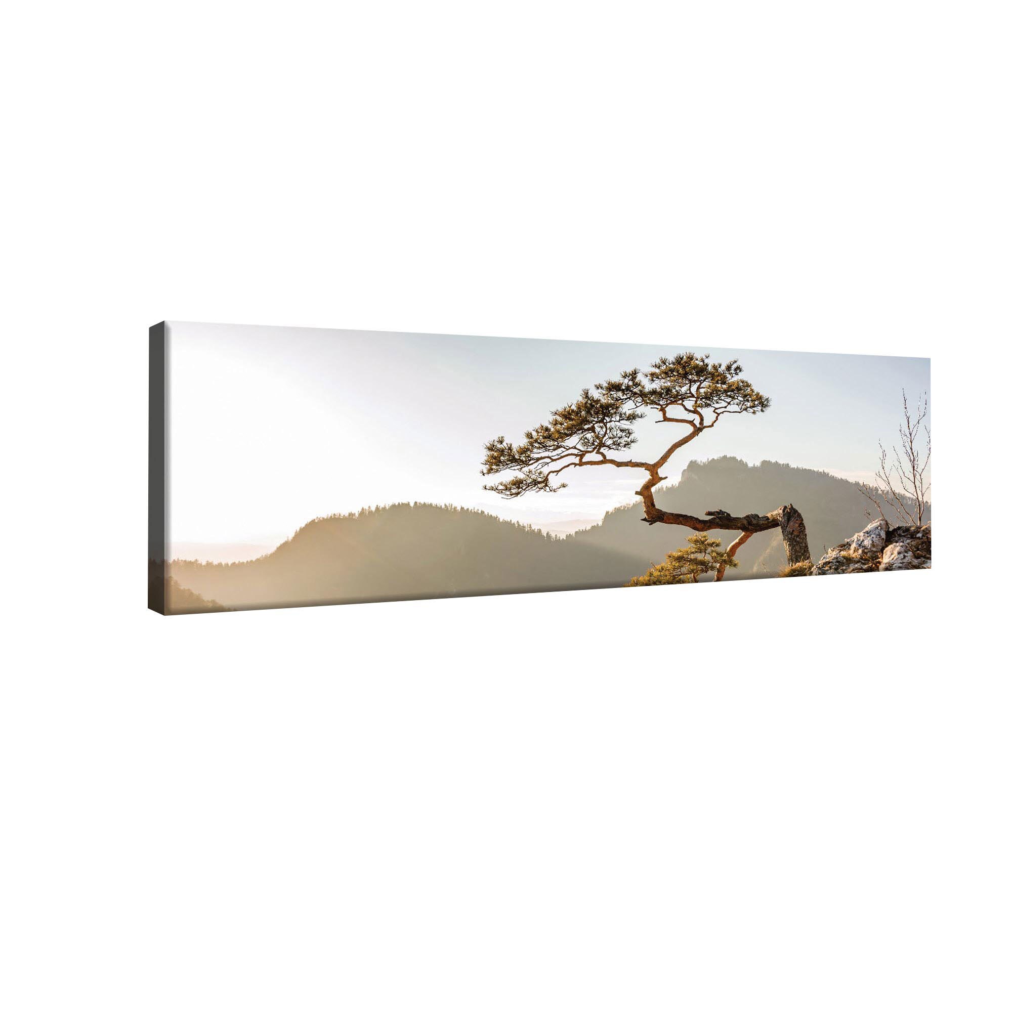 Tablou Canvas DEGRETS 78210 Munti 2, 45x145cm