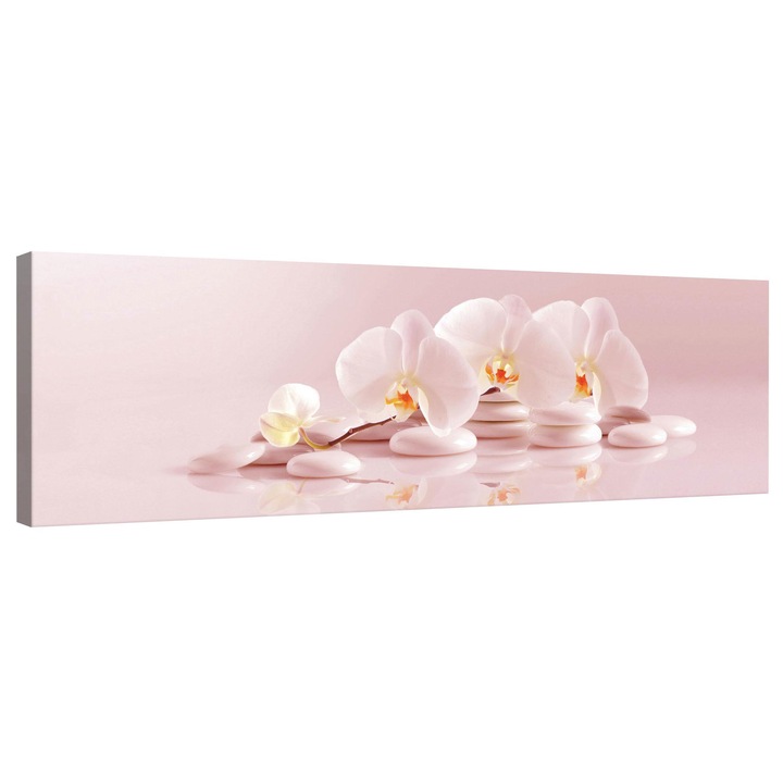 Tablou Canvas DEGRETS 78213 Orhidee 6, 45x145cm
