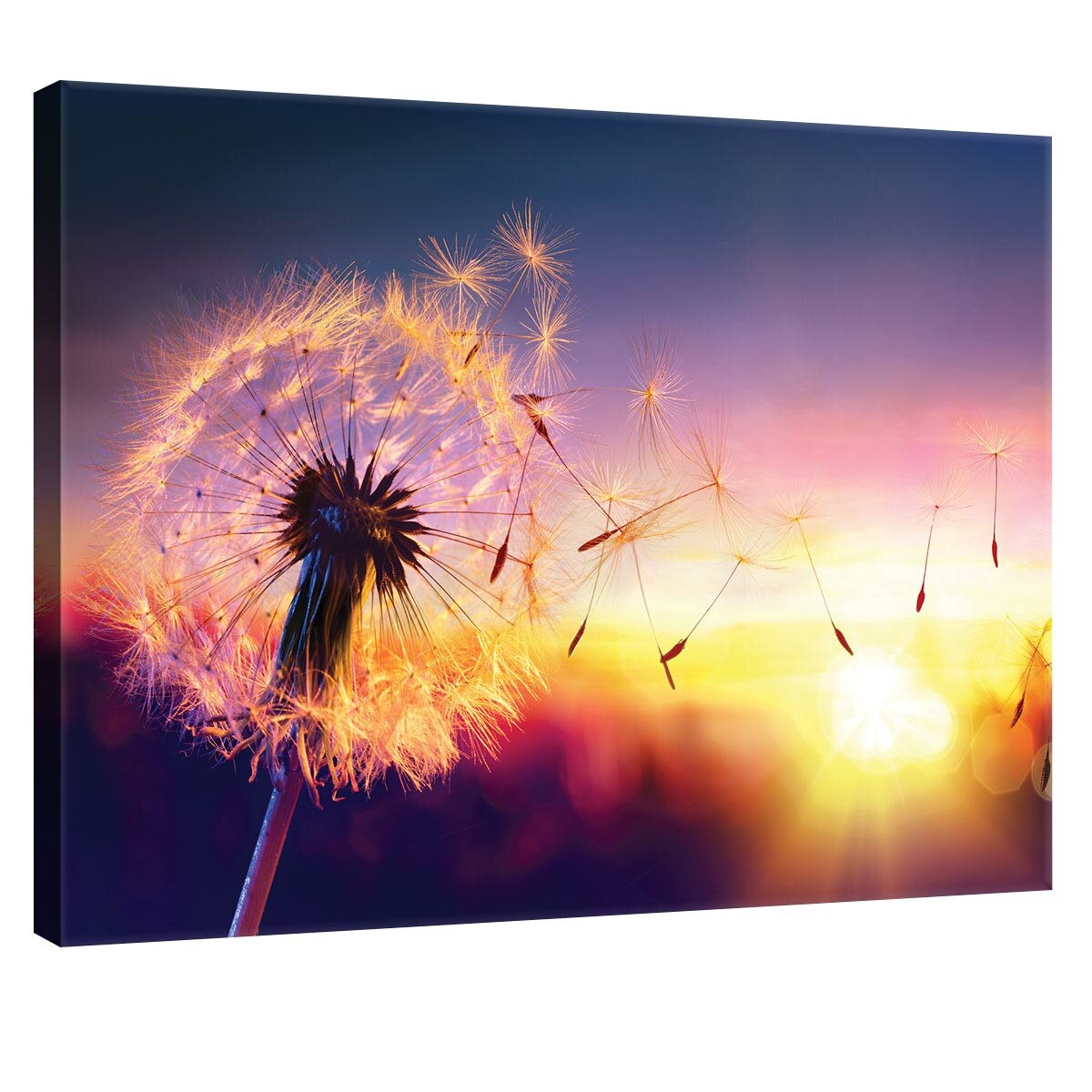 Tablou Canvas DEGRETS 78300 Papadie - apus, 40x60cm