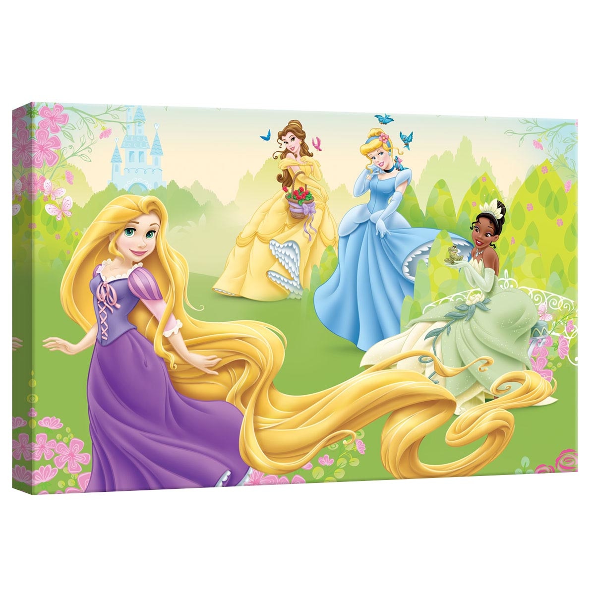 Tablou Canvas DEGRETS 78314 Printese Disney 3, 40x60cm