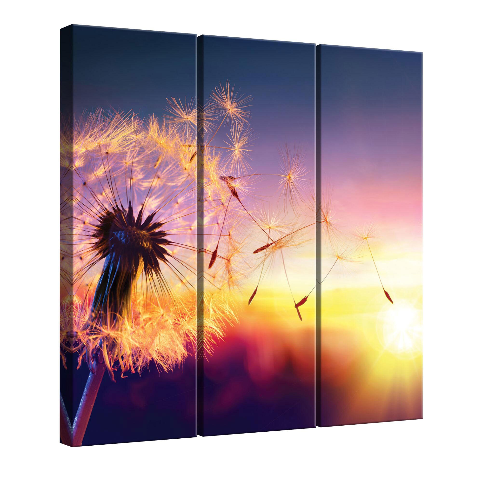 Set Tablouri DEGRETS 78333 Canvas, 100 x 90 cm, 3 piese (3x100x30cm), Papadie - apus