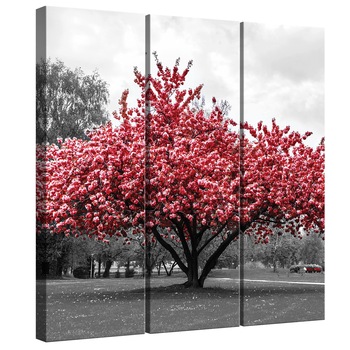 Set Tablouri DEGRETS 78338 Canvas, 100 x 90 cm, 3 piese (3x100x30cm), Culoare roz Set Tablouri DEGRETS 78338 Canvas, 100 x 90 cm, 3 piese (3x100x30cm), Culoare roz