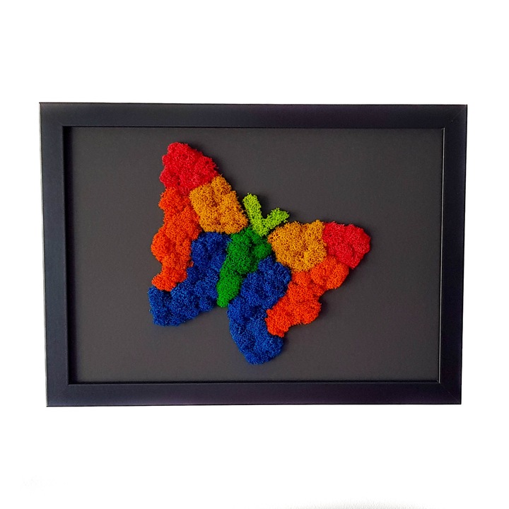 Tablou cu licheni fluturas Elli's Blooming Garden, color, negru, 21X30 cm