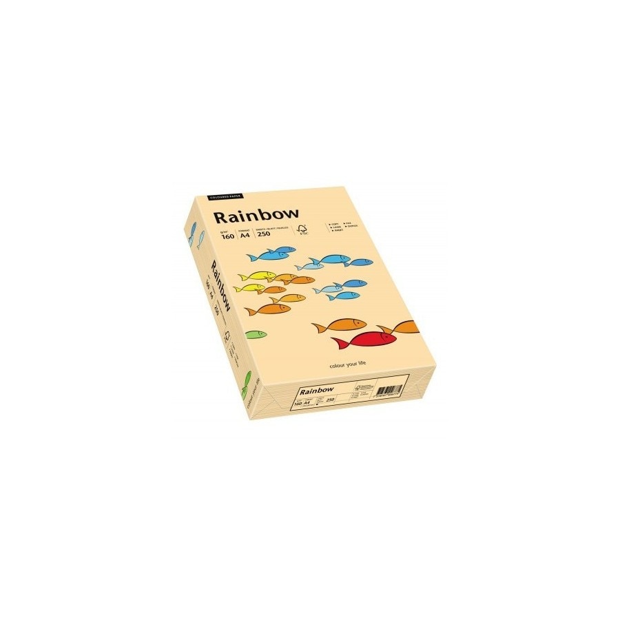 Hartie copiator A4 80 gr. Salmon 40