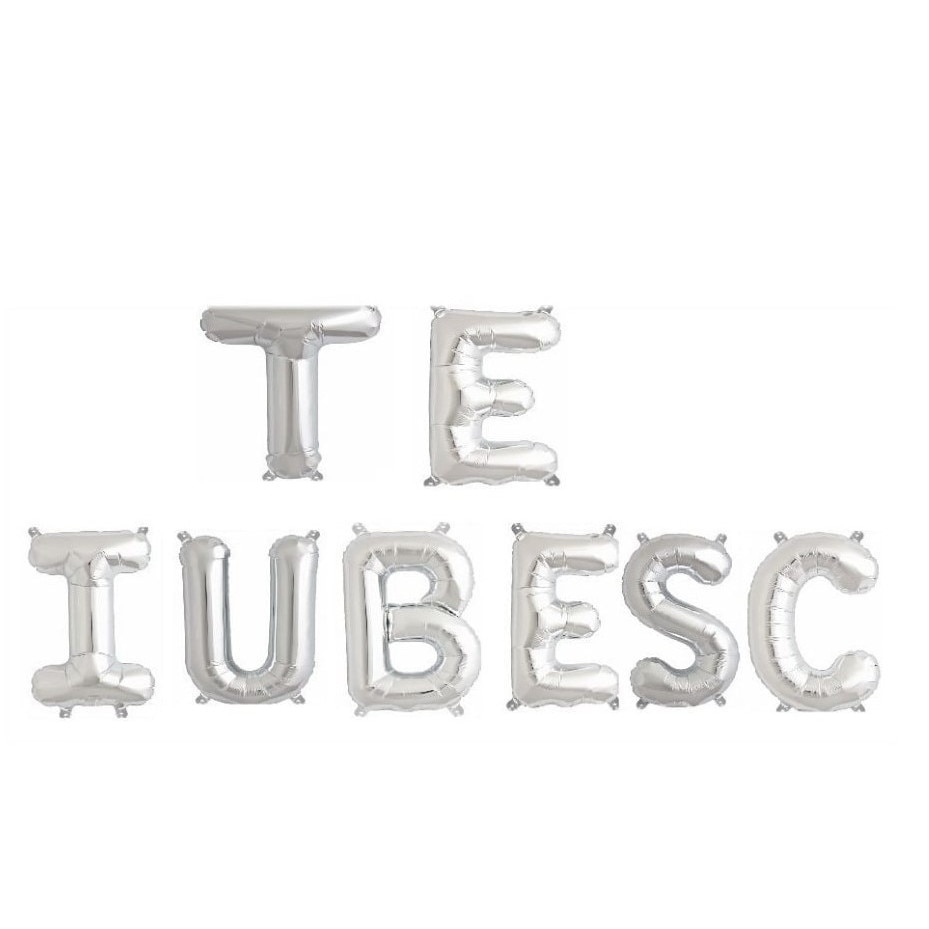 Balon Folie Litere, TE IUBESC, Argintiu, 41 cm