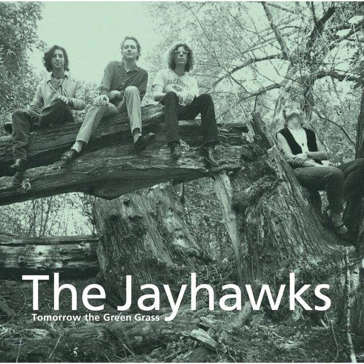 Jayhawks - Tomorrow The Green Grass - Vinyl - Vinyl