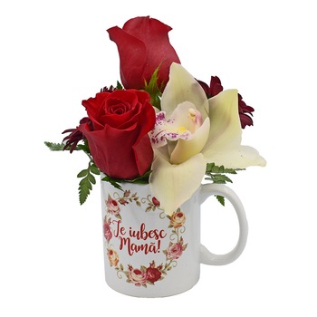 Flori Vii in Cana Ceramica de Ziua Femeii Flori Vii in Cana Ceramica de Ziua Femeii