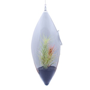 Accesorii decorative