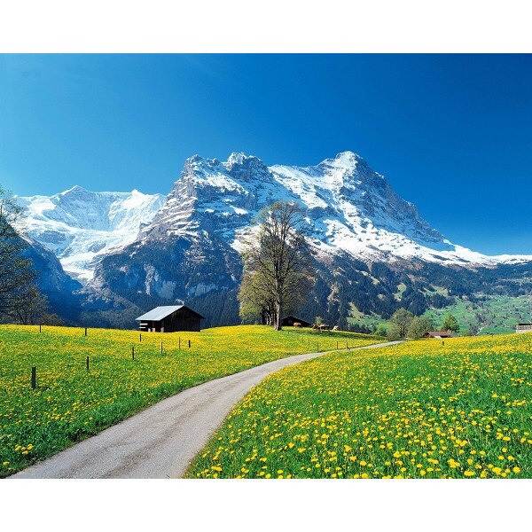 Tablou Canvas Peisaj, 60 x 80 cm