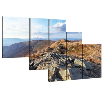 Set Tablouri DEGRETS 78361 Canvas, 100 x 170 cm, 5 piese (1x100x30 cm, 2x80x30 cm, 2x60x40 cm), Natura 3 Set Tablouri DEGRETS 78361 Canvas, 100 x 170 cm, 5 piese (1x100x30 cm, 2x80x30 cm, 2x60x40 cm), Natura 3