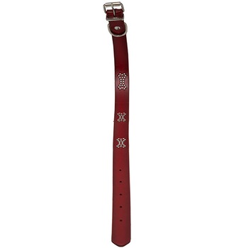 Zgarda pentru catei 47 cm, culoare rosu Zgarda pentru catei 47 cm, culoare rosu