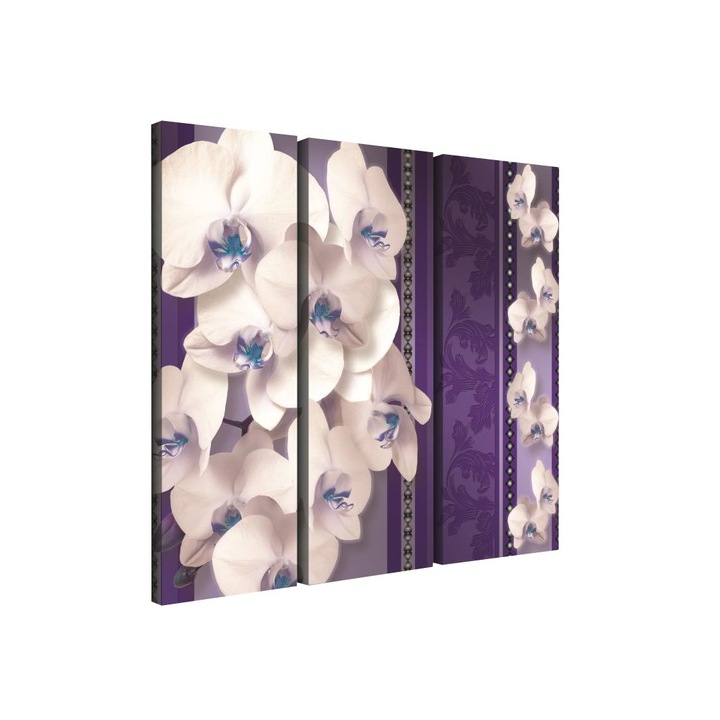 Set Tablouri DEGRETS 78371 Canvas, 80 x 90 cm, 3 piese (3x80x30 cm), Orhidee Eleganta 2