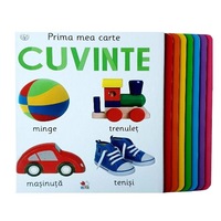 prima mea carte cuvinte imagen 20_0_
0