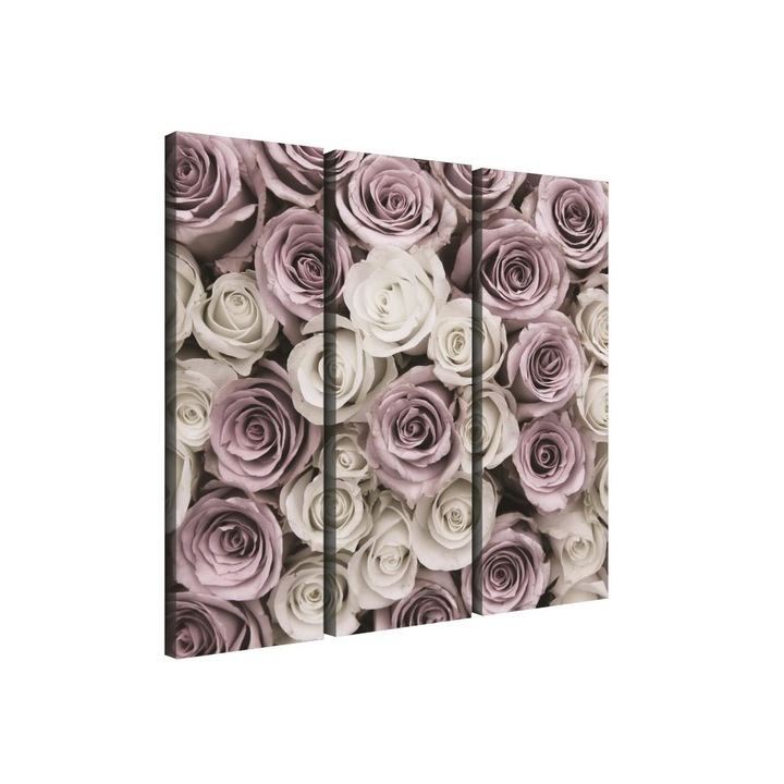 Set Tablouri DEGRETS 78376 Canvas, 80 x 90 cm, 3 piese (3x80x30 cm), Tradanfiri 3D 2