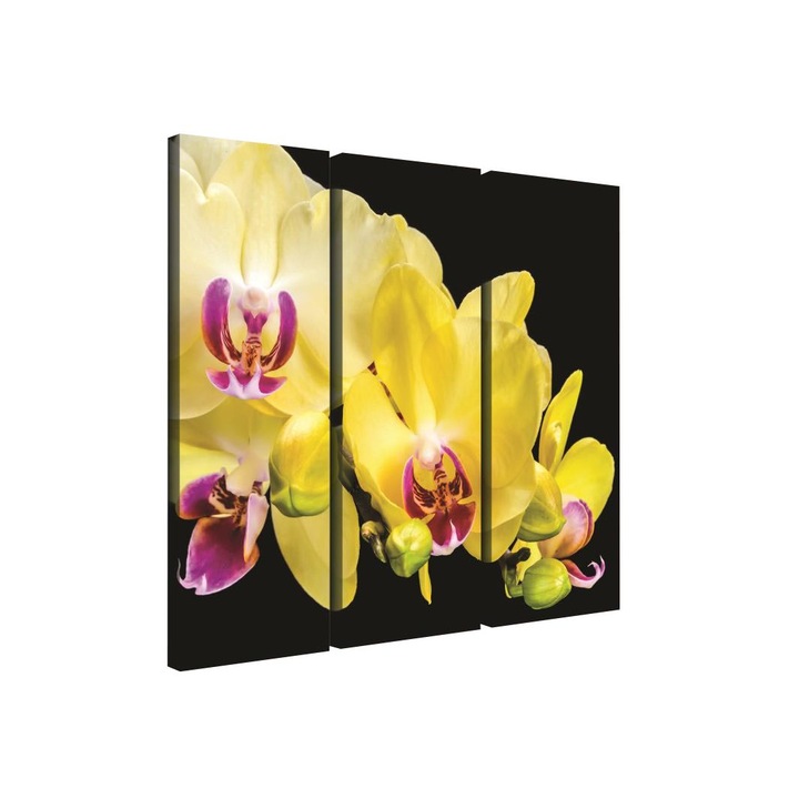 Set Tablouri DEGRETS 78375 Canvas, 80 x 90 cm, 3 piese (3x80x30 cm), Orhidee Galbena 3D