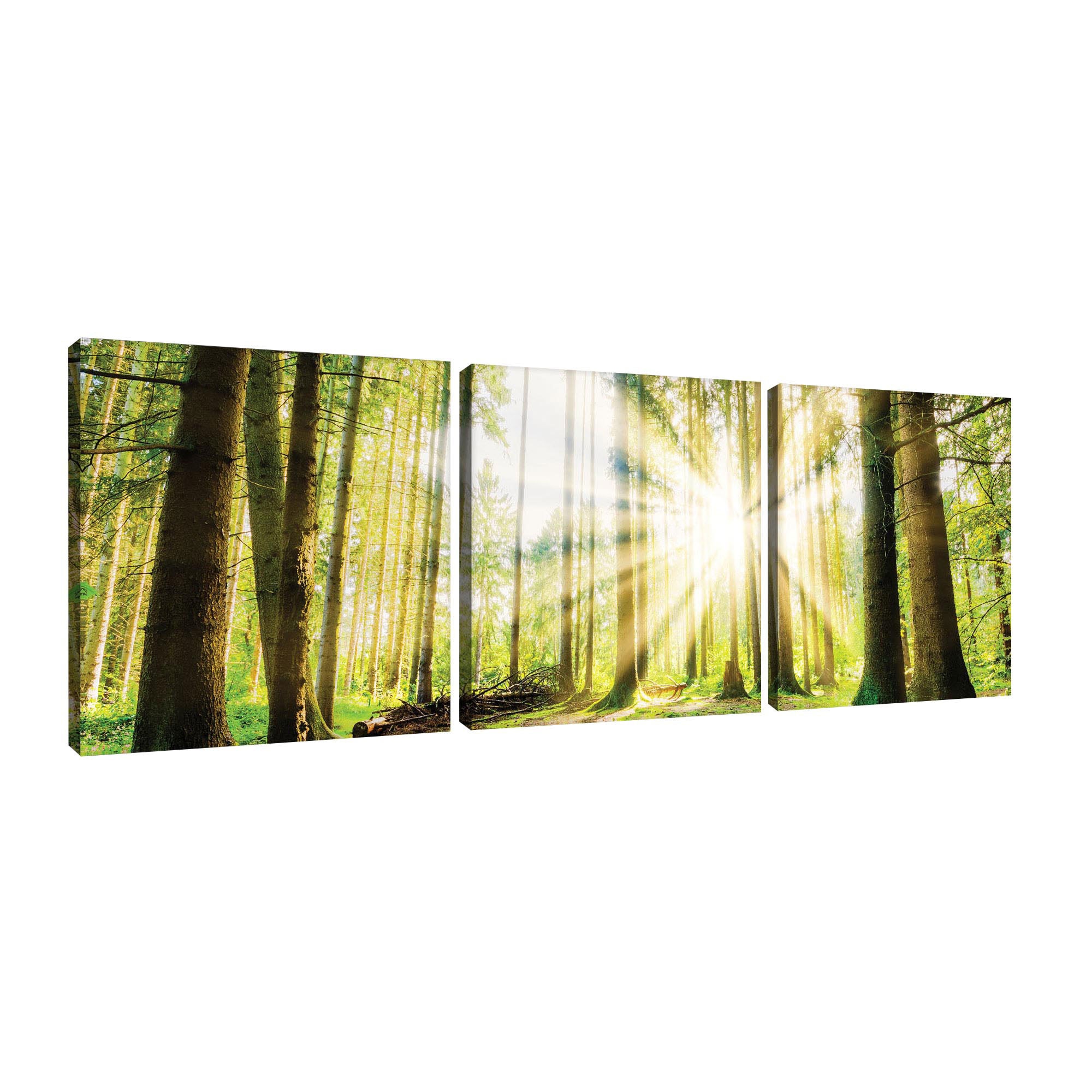Set Tablouri DEGRETS 78401 Canvas, 25 x 75 cm, 3 piese (3x25x25 cm), Padure 2