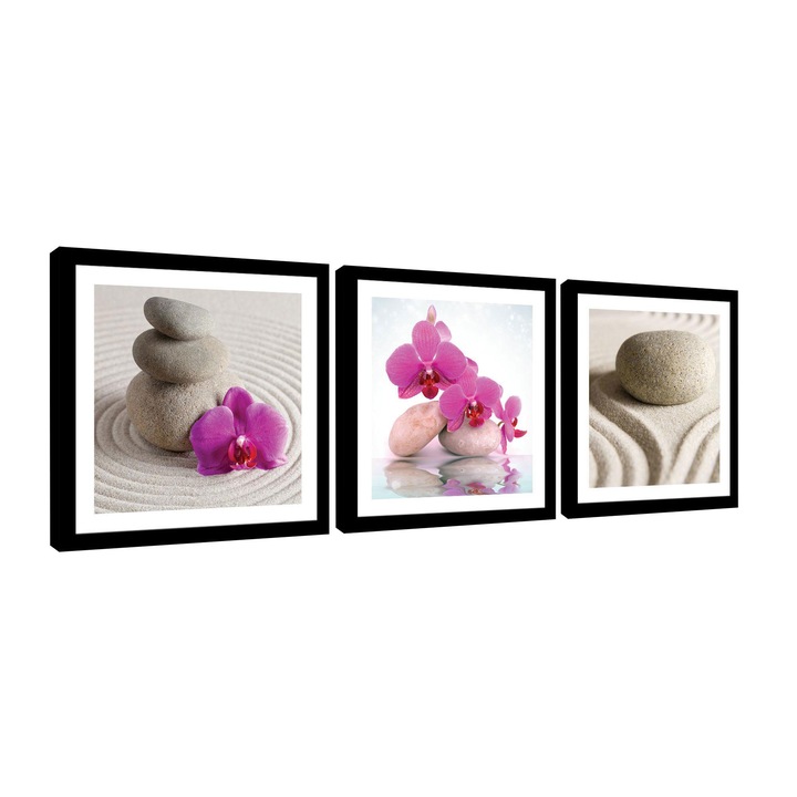 Сет Картина Канава DEGRETS 78416 Спа орхидеи 1 25x75см, 3 части (3 x 25 x 25 см)