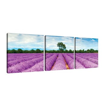 Set Tablouri DEGRETS 78415 Canvas, 25 x 75 cm, 3 piese (3x25x25 cm), Lavanda 1 Set Tablouri DEGRETS 78415 Canvas, 25 x 75 cm, 3 piese (3x25x25 cm), Lavanda 1