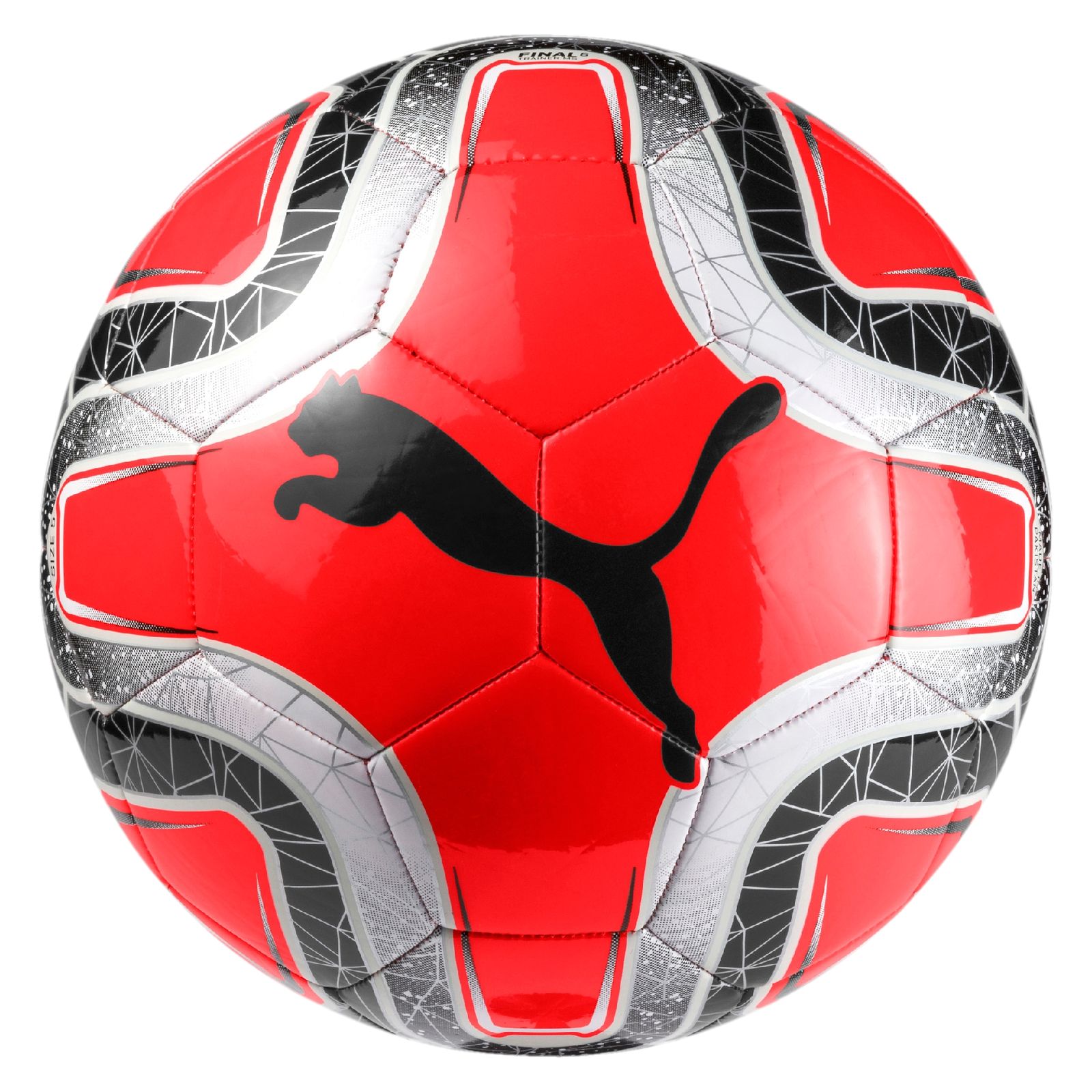 puma evopower 6 trainer ms