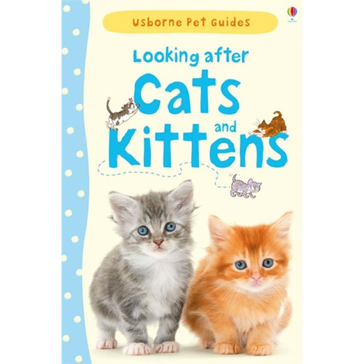 Looking after cats and kittens
