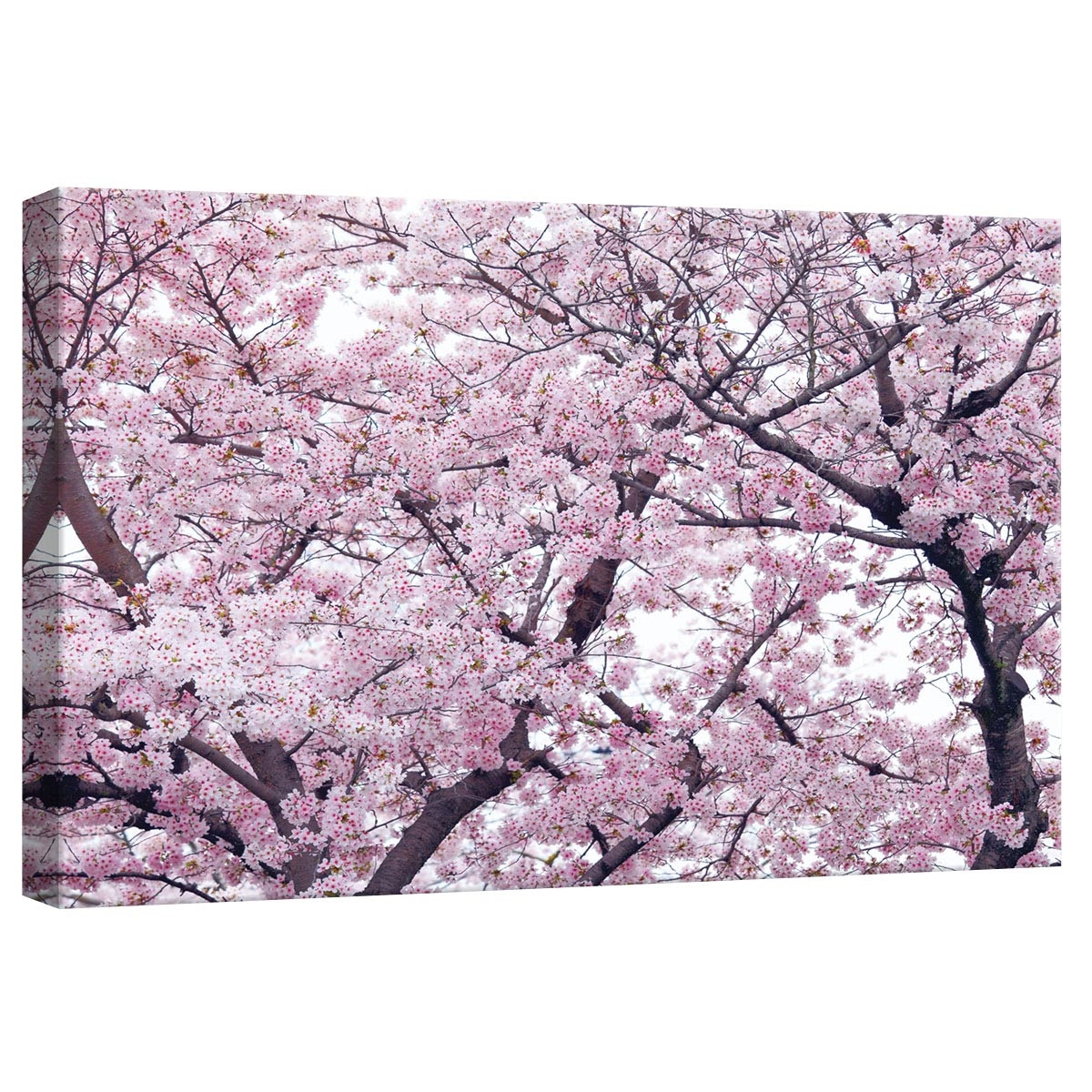 Tablou Canvas DEGRETS 78298 Imprimavarare 2, 40x60cm