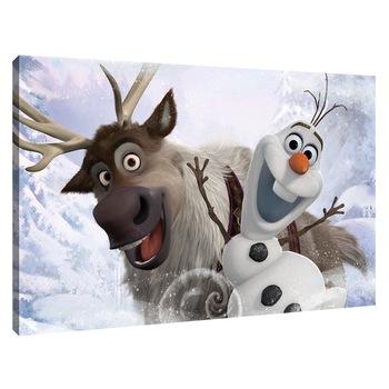 Tablou Canvas DEGRETS 78324 Frozen 4, 40x60cm Tablou Canvas DEGRETS 78324 Frozen 4, 40x60cm