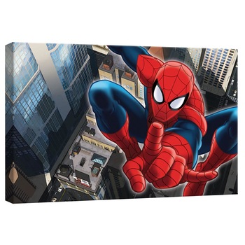 Tablou Canvas DEGRETS 78326 Omul paianjen 2, 40x60cm Tablou Canvas DEGRETS 78326 Omul paianjen 2, 40x60cm